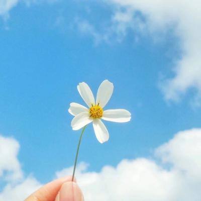 半岛综合app官网版登录