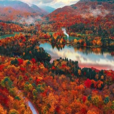 best365官网登录入口