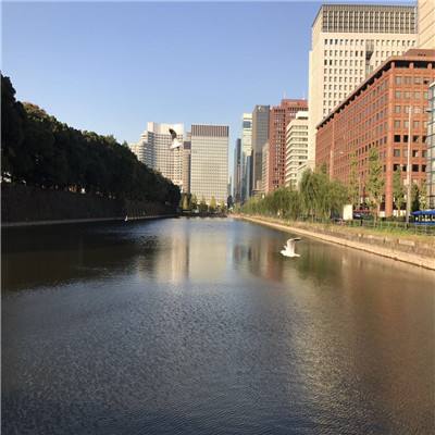 炸金花单机游戏app下载