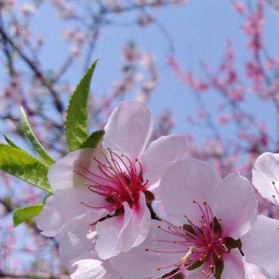 竞彩足球app官网下载