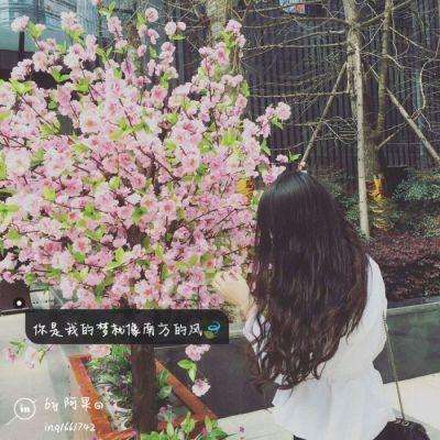 澳门威斯尼斯WNS888入口下载手机版